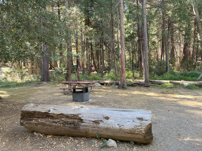 Camping area showing bear box, fire ring, ADA picnic table and tent padBear box, ADA picnic table and fire ring
