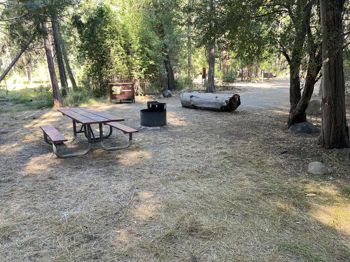 Smooth dirt tent pad surrounded by trees and near fire ring and picnic tableTent Pad
