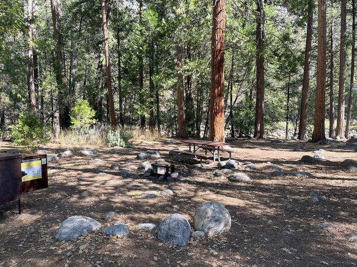 Camping area showing bear box, fire ring, picnic table and tent padBear box, picnic table and fire ring
