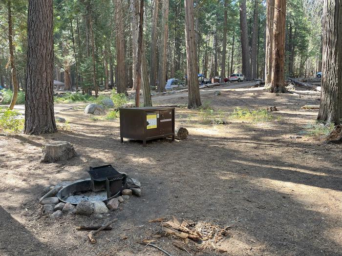 Smooth dirt tent pad surrounded by trees and near fire ring Tent pad, fire ring and bear box
