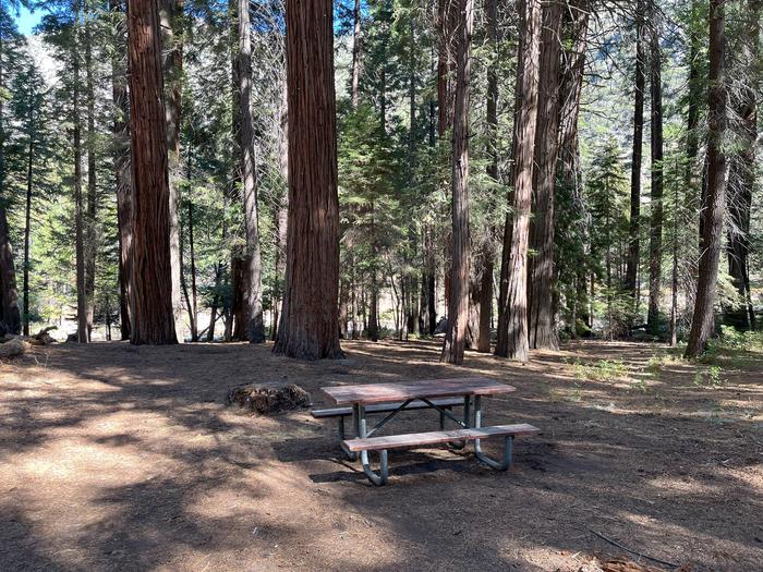 Camping area showing picnic table and tent padPicnic table and tent pad