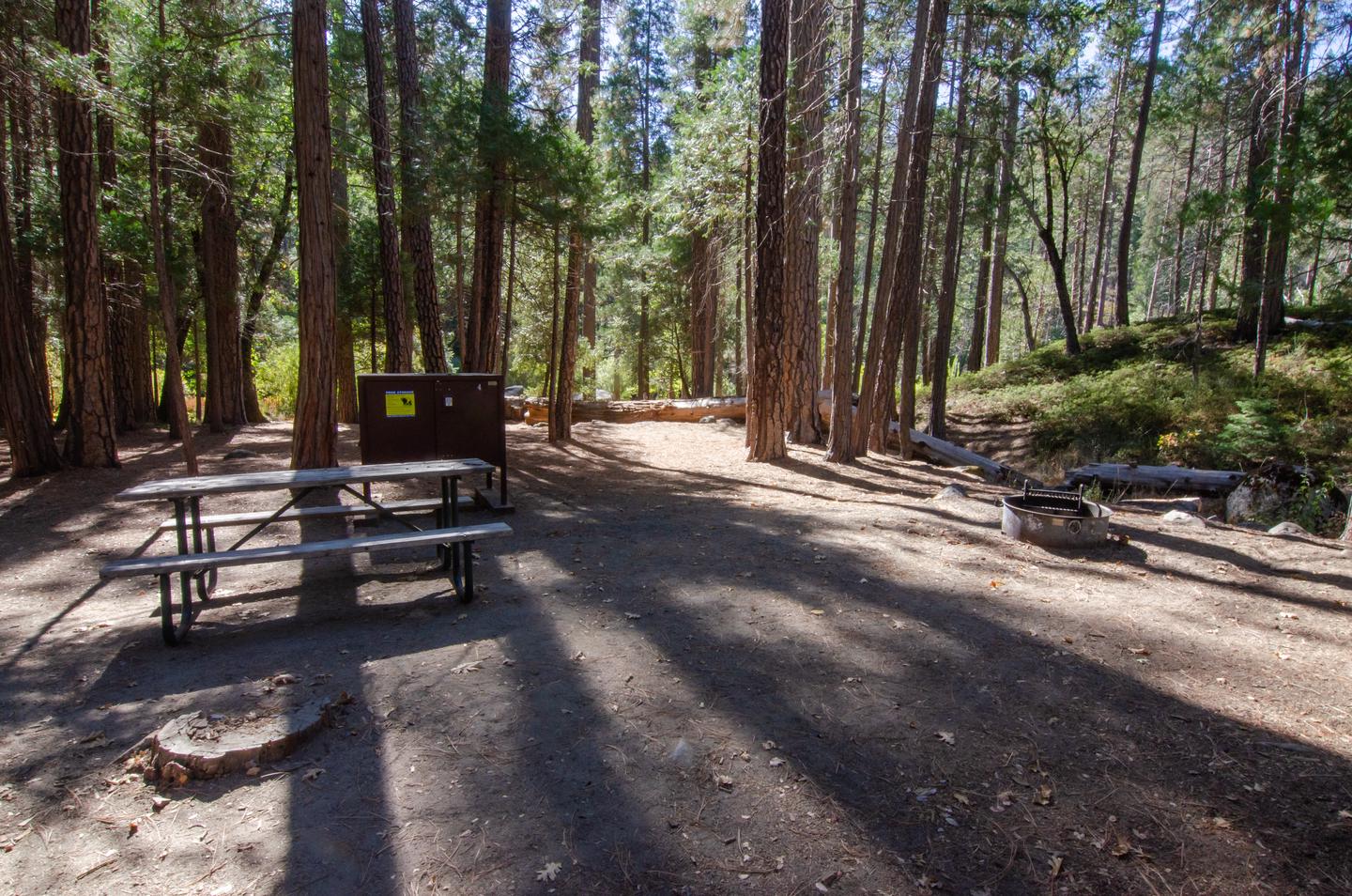 Picnic table, metal food locker, and fire ring all sit on a slightly sloped dirt lot below tall pines. Shade from the trees is cast over the campsite.Site 04: Food locker, picnic table, campfire ring