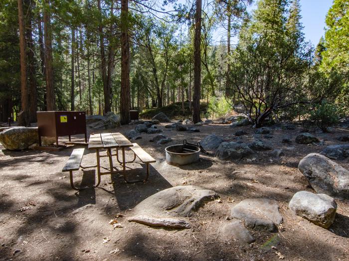 Food locker, picnic table, and fire ringSite 81: Bear locker, picnic table, and fire ring