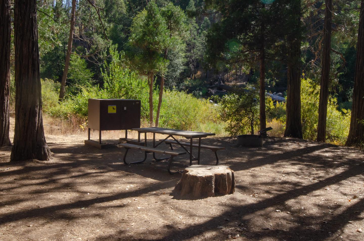 A large tree stump in front of a picnic table, bear locker, and fire ring. Trees and foliage can be seen in the background.Site #01: Bear locker, picnic table, and fire ring