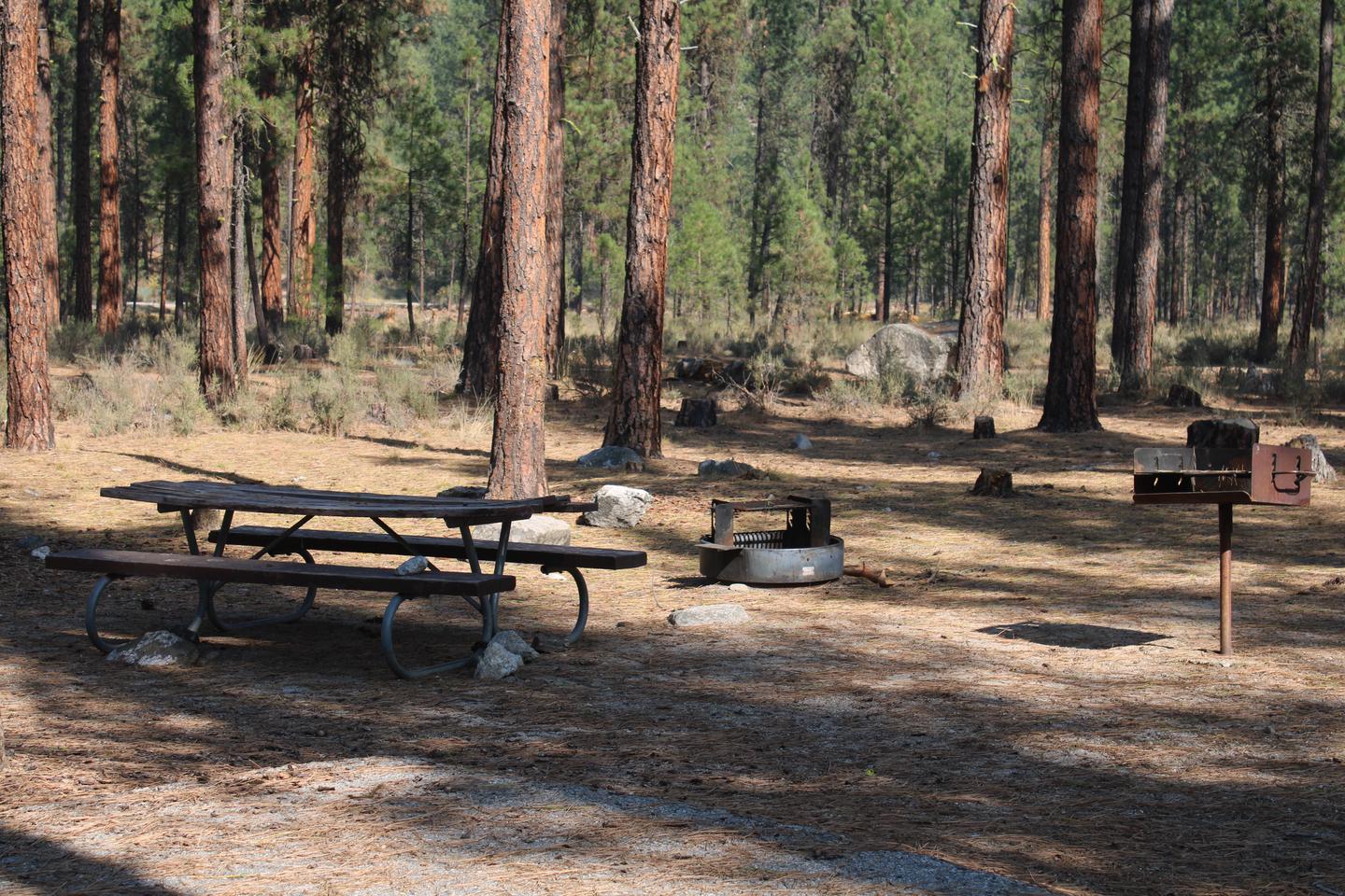 Site picnic table, grill, and fire ring, partially shadedSite picnic table, grill, and fire ring