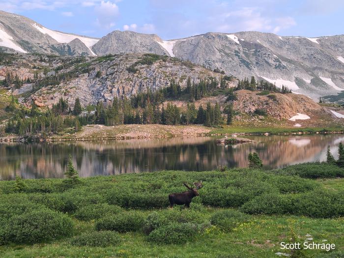 Moose and Libby Lake