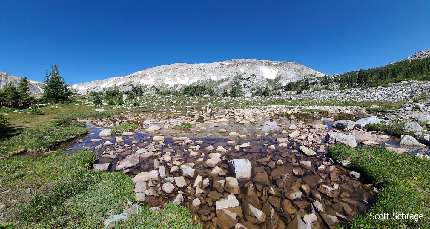 Mountain Lake and Medicine Bow