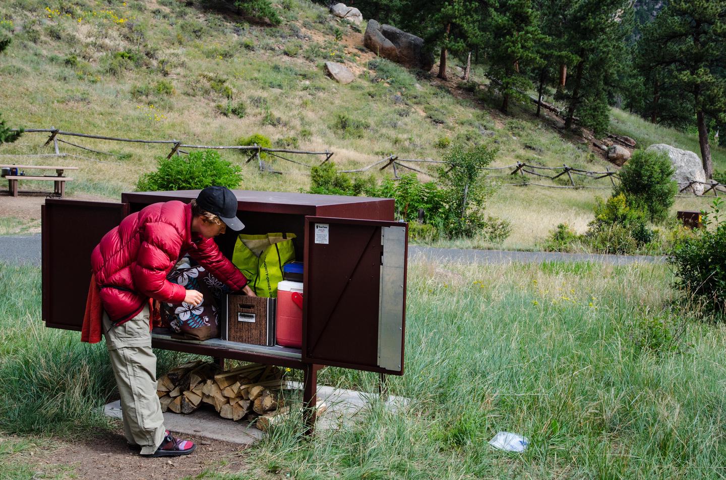 A camper is using a food storage box in Aspenglen Campground