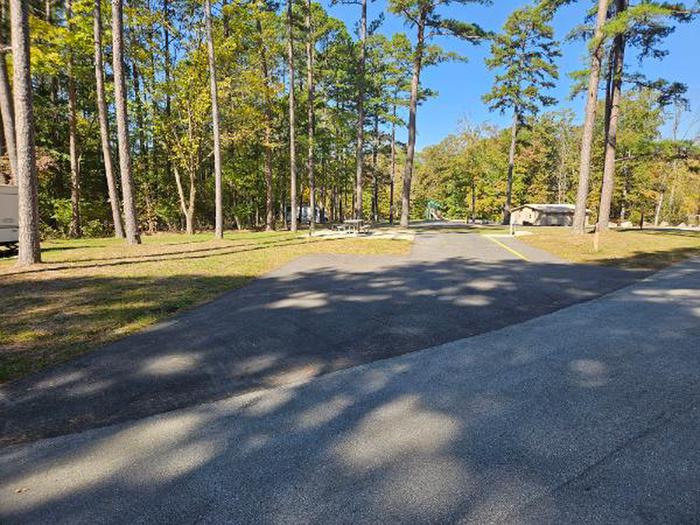 A photo of Site A01 of Loop A at PIEDMONT PARK