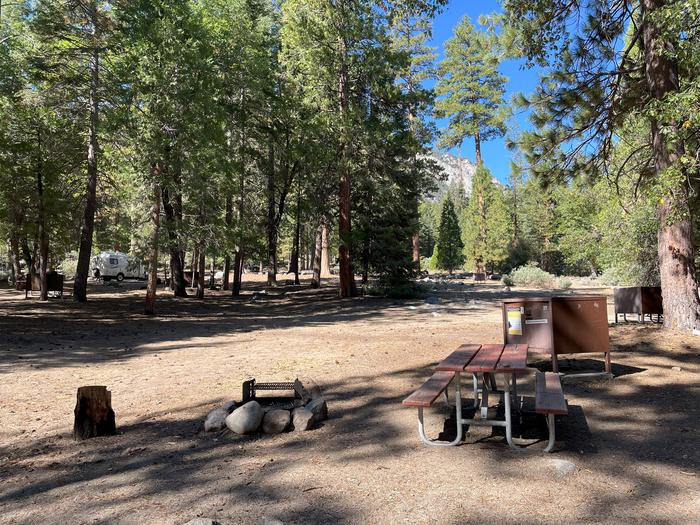 Smooth dirt tent pad surrounded by trees and near fire ring and picnic tableSmooth dirt tent pad surrounded by trees and near fire ring and picnic table
