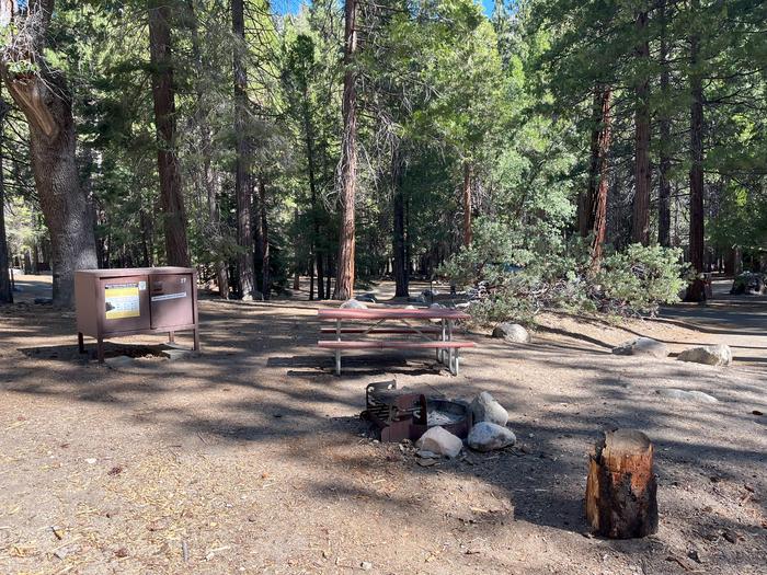 Camping area showing bear box, fire ring, picnic table and tent padBear box, picnic table and fire ring
