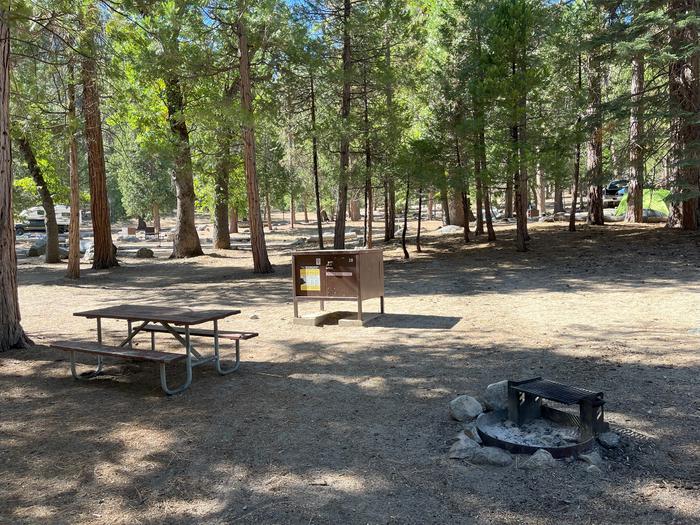 Smooth dirt tent pad surrounded by trees and near fire ring and picnic tableCamping Area