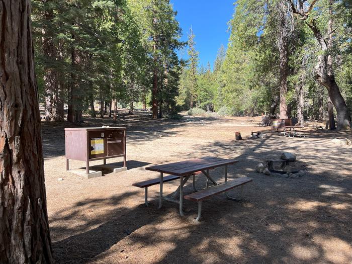 Camping area showing bear box, fire ring, picnic table and tent padBear box, picnic table and fire ring
