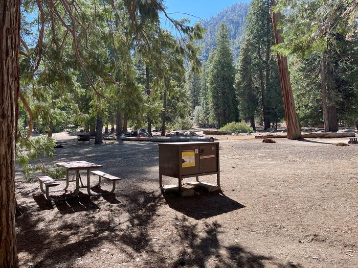 Smooth dirt tent pad surrounded by trees and near bear box and picnic tableTent Pad
