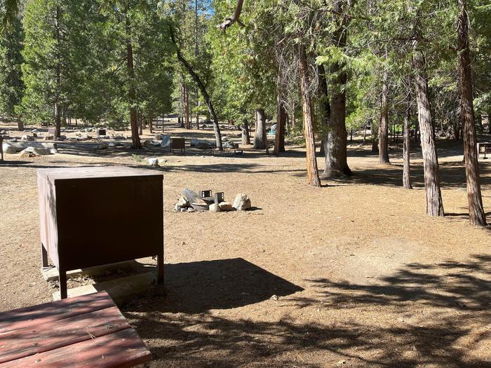 Camping area showing bear box, fire ring, picnic table and tent padBear box, picnic table and fire ring
