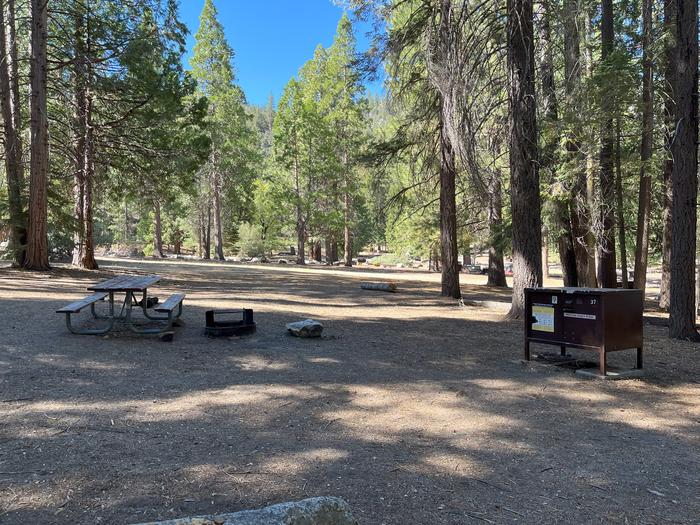 Camping area showing bear box, fire ring, picnic table and tent padBear box, picnic table and fire ring
