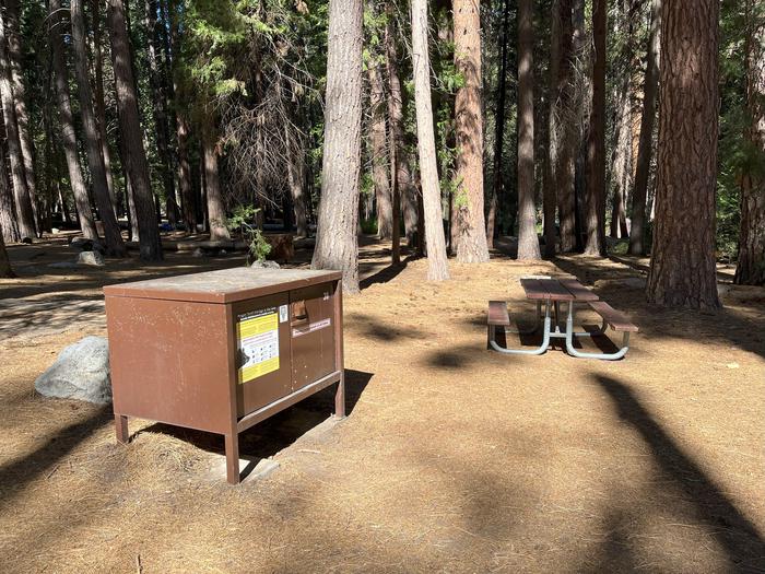 Smooth dirt tent pad surrounded by trees and near bear box and picnic tableBear box and picnic table
