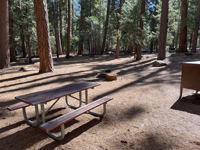 Camping area showing bear box, fire ring, picnic table and tent padBear box, picnic table and fire ring
