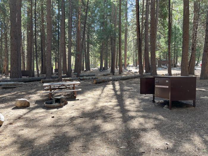 Camping area showing bear box, fire ring, picnic table and tent padBear box, picnic table and fire ring
