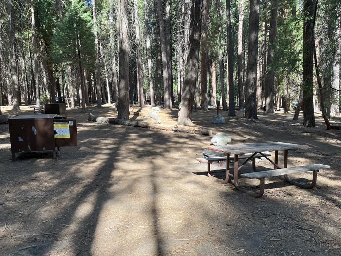 Smooth dirt tent pad surrounded by trees and near fire ring and picnic tableTent Pad
