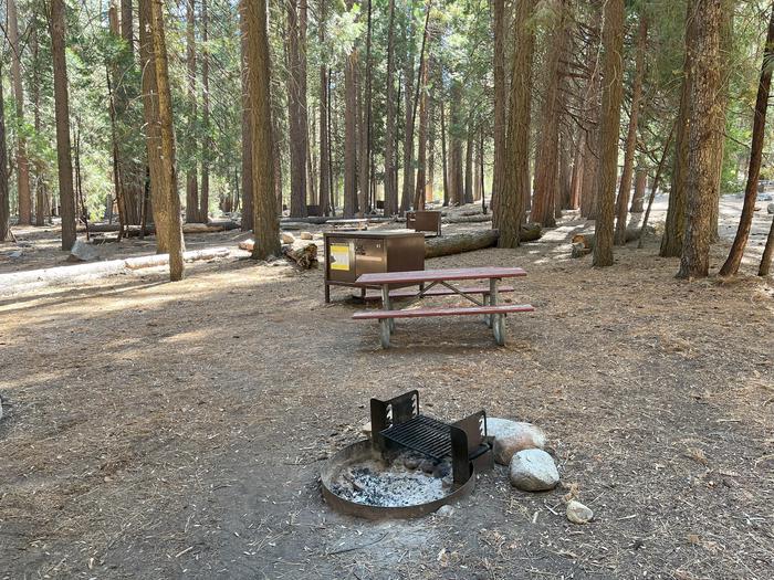 Camping area showing bear box, fire ring, picnic table and tent padBear box, picnic table and fire ring
