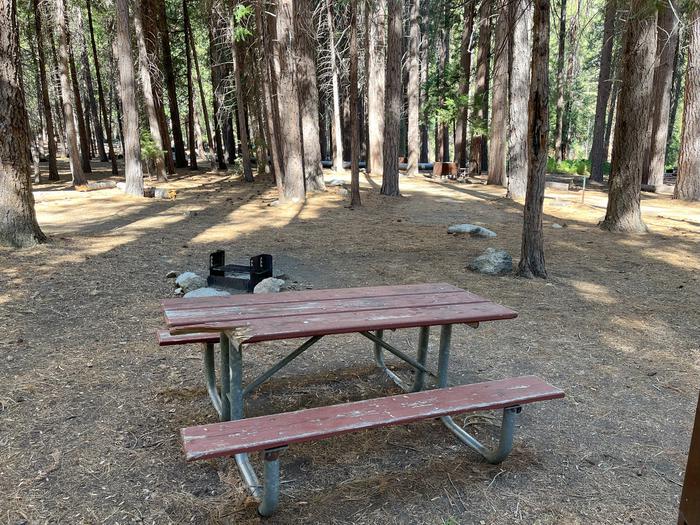 Smooth dirt tent pad surrounded by trees and near fire ring and picnic tableTent Pad
