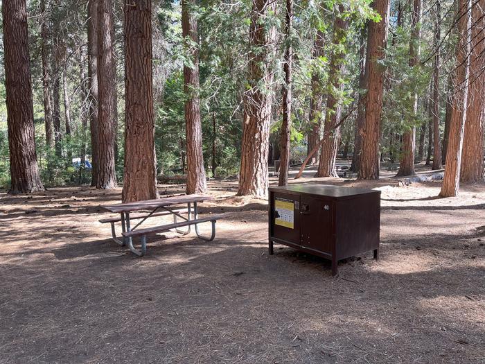 Camping area showing bear box, picnic table and tent padBear box & picnic table