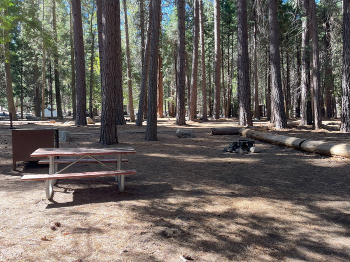 Smooth dirt tent pad surrounded by trees and near fire ring and picnic tableTent Pad
