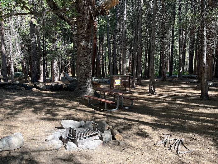 Camping area showing bear box, fire ring, picnic table and tent padBear box, picnic table and fire ring
