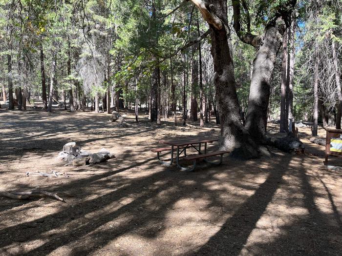 Smooth dirt tent pad surrounded by trees and near fire ring and picnic tableTent Pad
