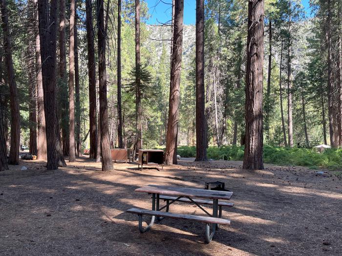 Camping area showing bear box, fire ring, picnic table and tent padBear box, picnic table and fire ring
