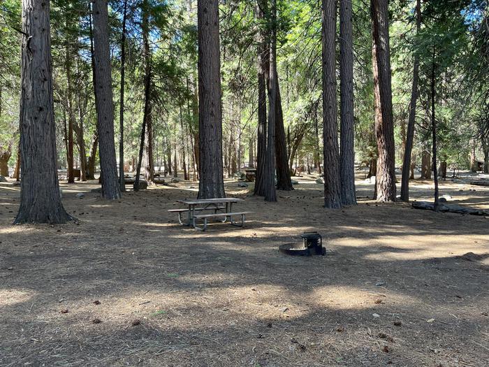 Smooth dirt tent pad surrounded by trees and near fire ring and picnic tableTent Pad
