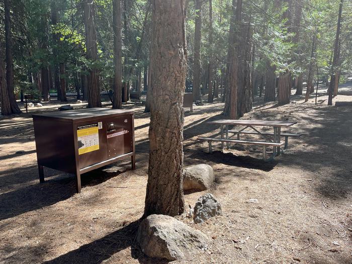 Camping area showing bear box, picnic table and tent padBear box & picnic table
