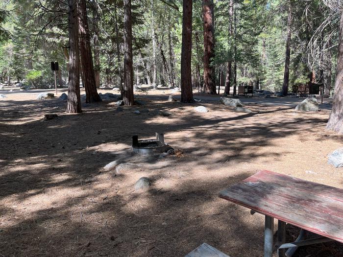 Smooth dirt tent pad surrounded by trees and near fire ring and picnic tableTent Pad
