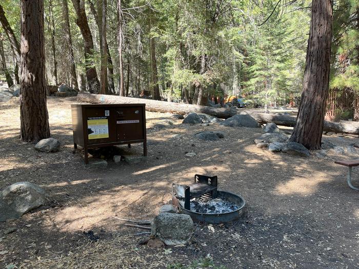 Camping area showing bear box, fire ring, picnic table and tent padBear box, picnic table and fire ring
