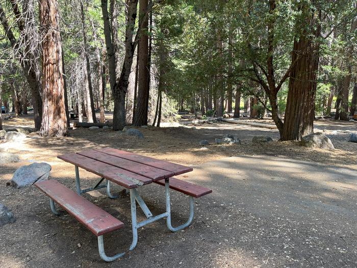 Smooth dirt tent pad surrounded by trees and near picnic tableTent Pad
