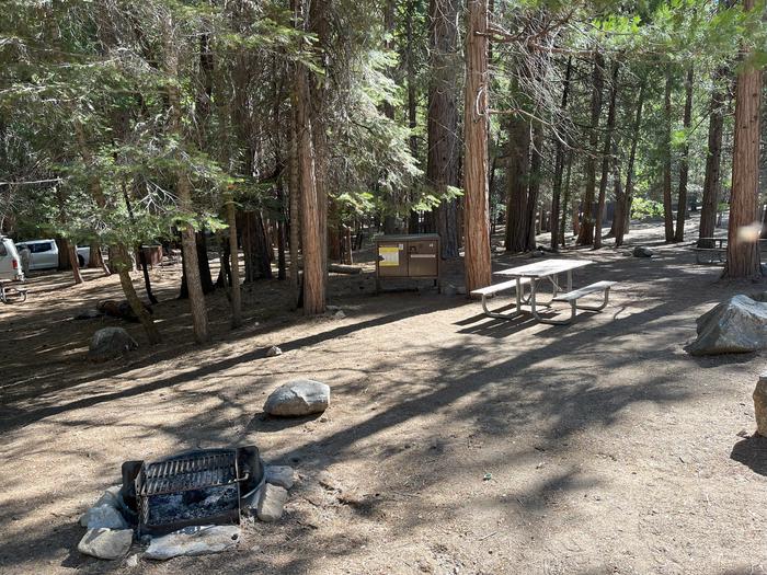 Camping area showing bear box, fire ring, picnic table and tent padBear box, picnic table and fire ring
