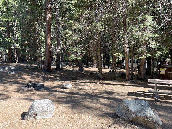 Smooth dirt tent pad surrounded by trees and near fire ring and picnic tableTent Pad
