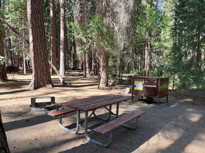 Camping area showing bear box, fire ring, picnic table and tent padBear box, picnic table and fire ring
