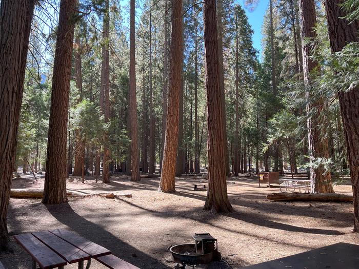 Smooth dirt tent pad surrounded by trees and near fire ring and picnic tableTent Pad
