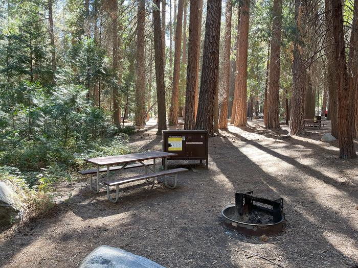 Camping area showing bear box, fire ring, picnic table and tent padBear box, picnic table and fire ring
