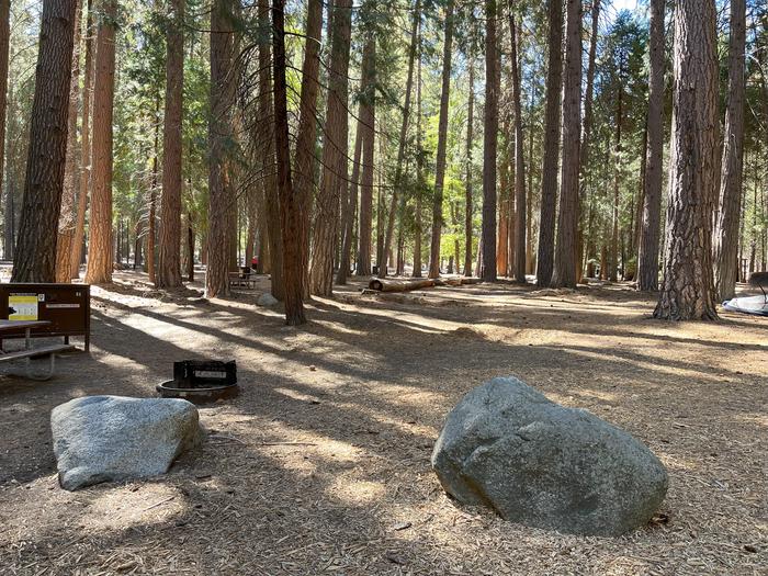 Smooth dirt tent pad surrounded by trees and near fire ring and picnic tableTent Pad
