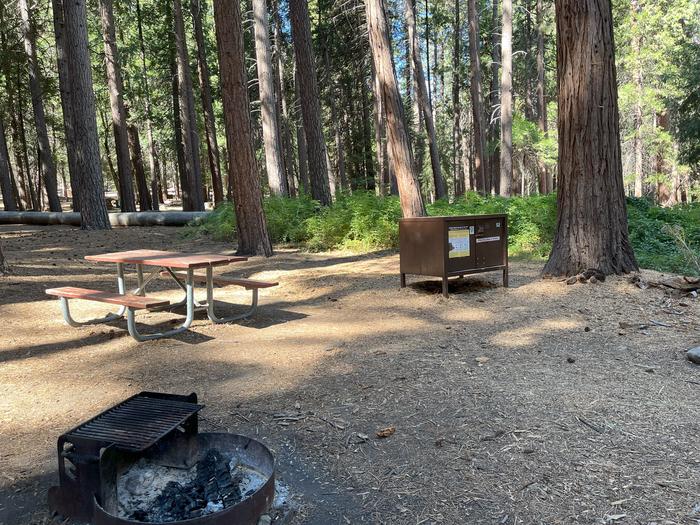 Camping area showing bear box, fire ring, picnic table and tent padBear box, picnic table and fire ring
