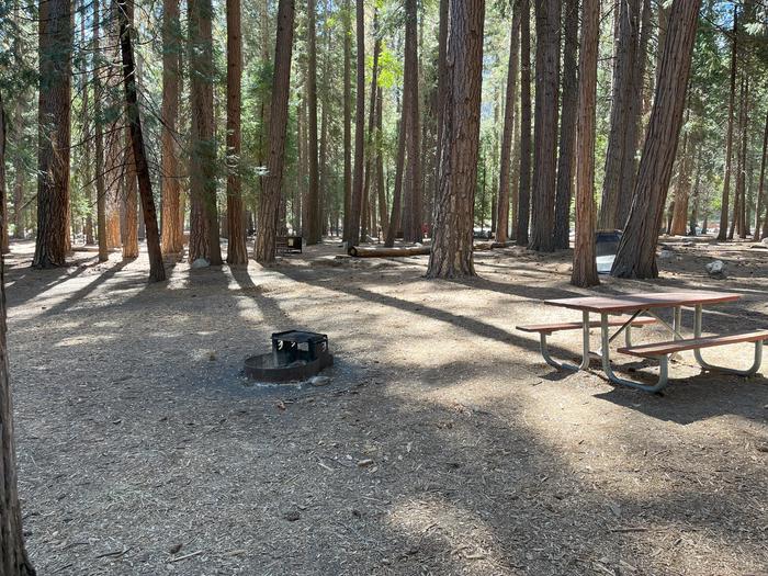 Smooth dirt tent pad surrounded by trees and near fire ring and picnic tableTent Pad
