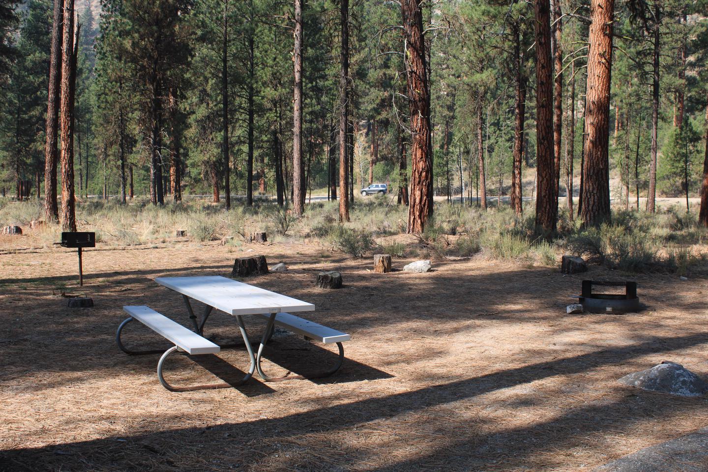 Site picnic table and fire ring 