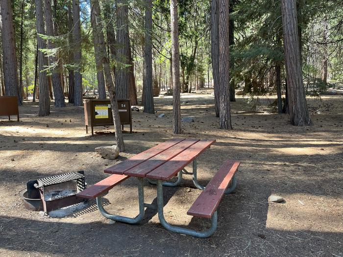 Camping area showing bear box, fire ring, picnic table and tent padBear box, picnic table and fire ring
