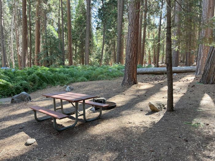 Smooth dirt tent pad surrounded by trees and near fire ring and picnic tableTent Pad
