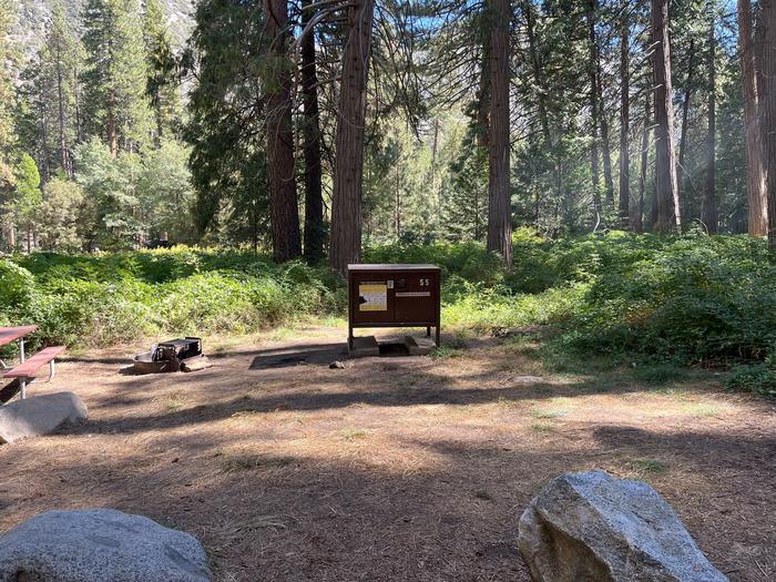 Smooth dirt tent pad surrounded by trees and near bear box and picnic tableTent Pad
