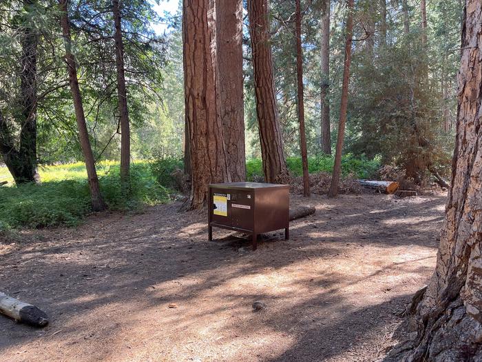 Camping area showing bear box and tent padBear box and tent pad