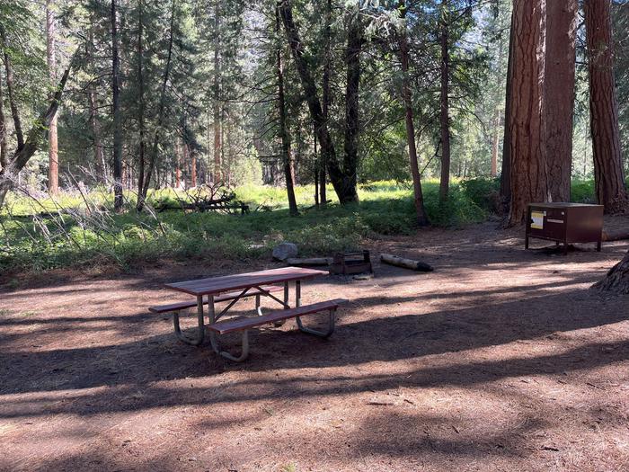 Camping area showing bear box, fire ring, picnic table and tent padBear box, picnic table and fire ring
